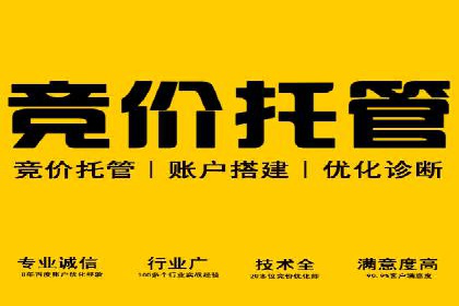 搜索引擎营销（SEM）的投放策略与效果评估——以某行业领先企业的案例分析
